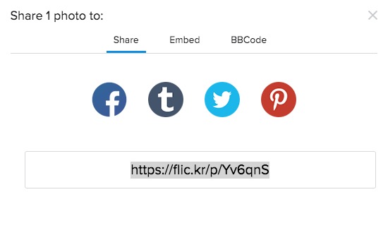Embed Flickr and YouTube Responsively in Bootstrap
