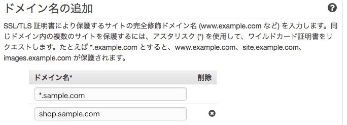 Things to Note When Issuing a Wildcard Certificate with ACM